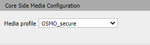 sbc_conf_example_12-2.png